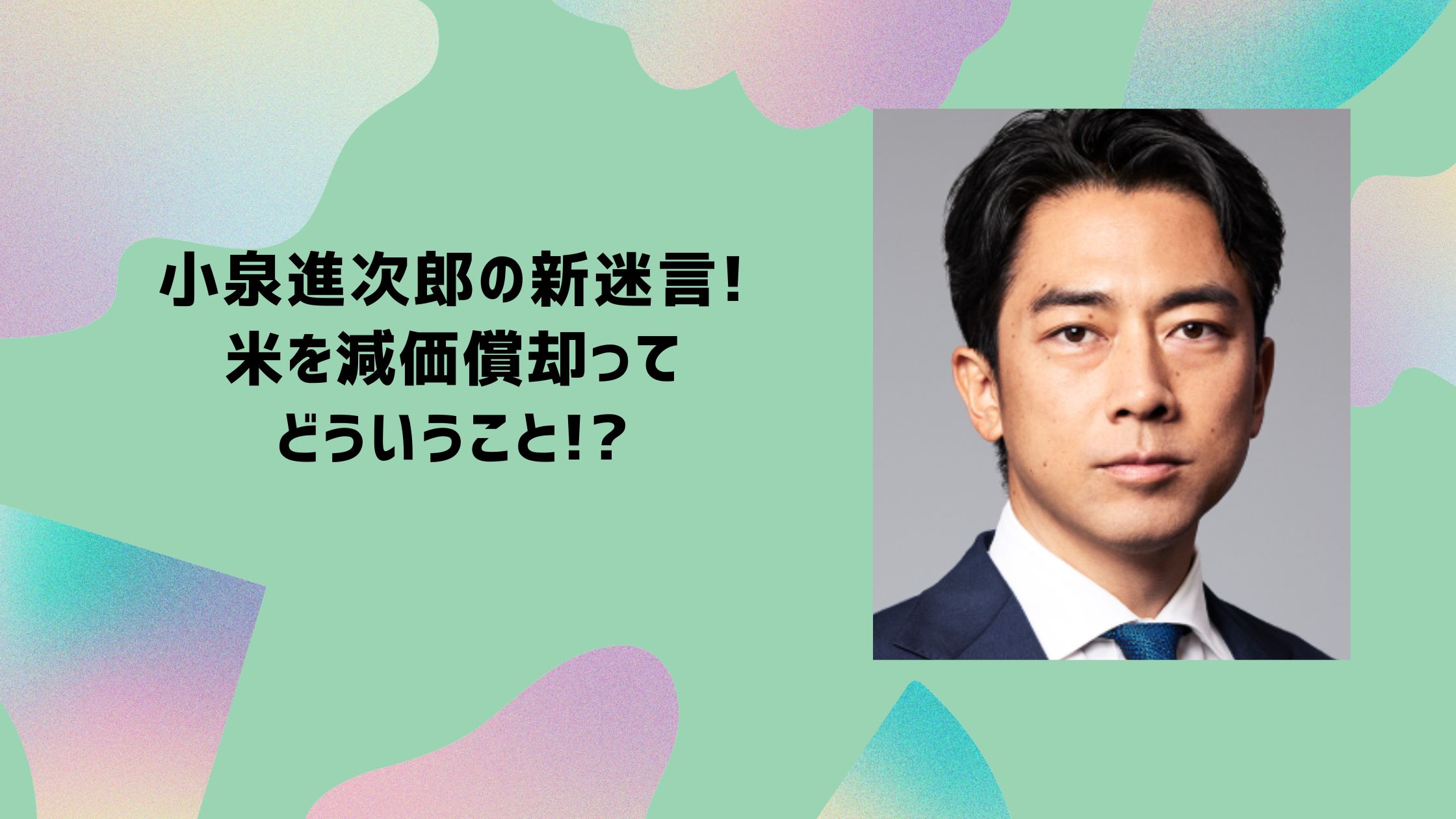 小泉進次郎　減価償却　米　コメ　名言　迷言