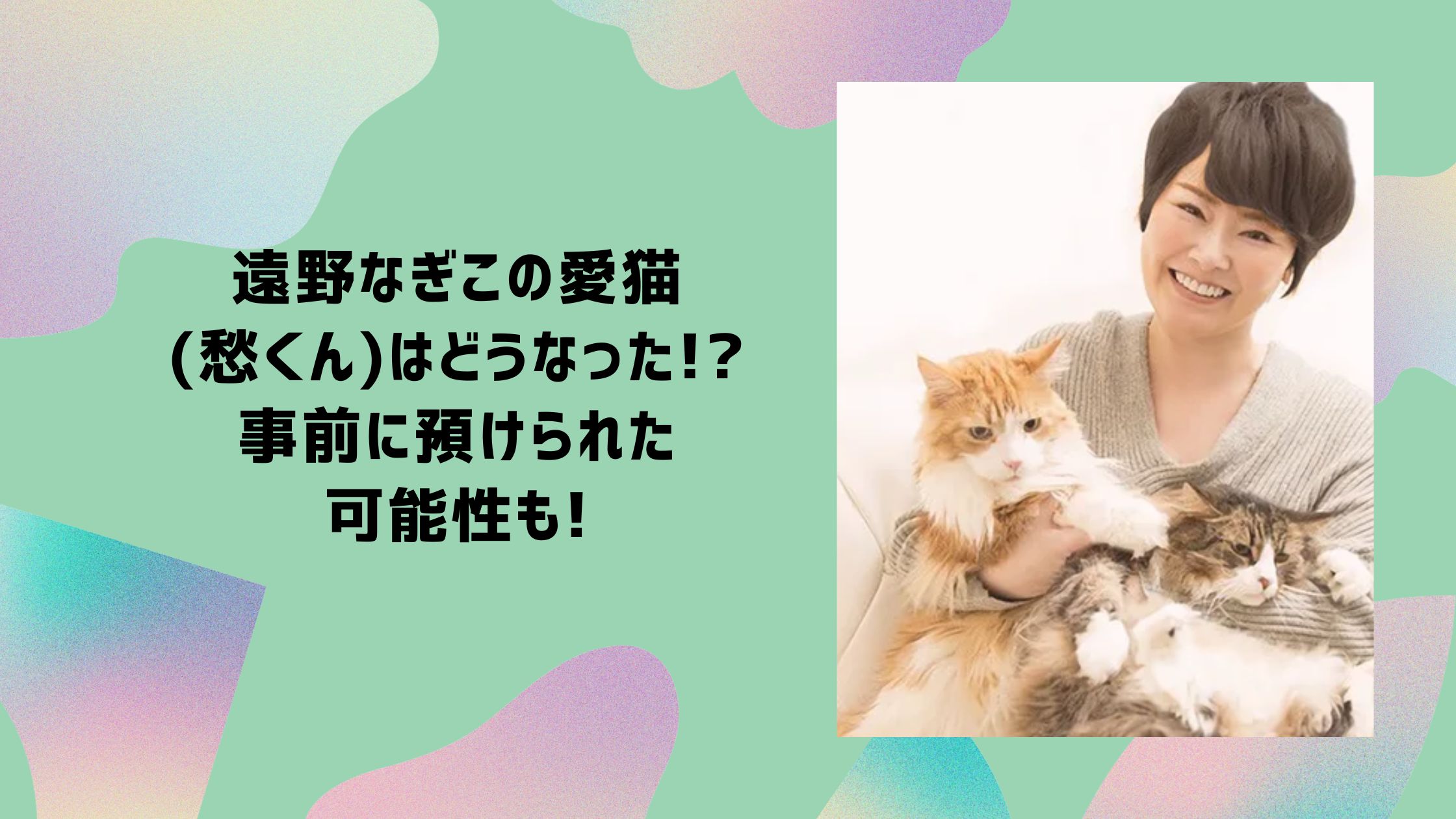 遠野なぎこ 愛猫　愁くん　どうなった　どうした　保護　預けられた